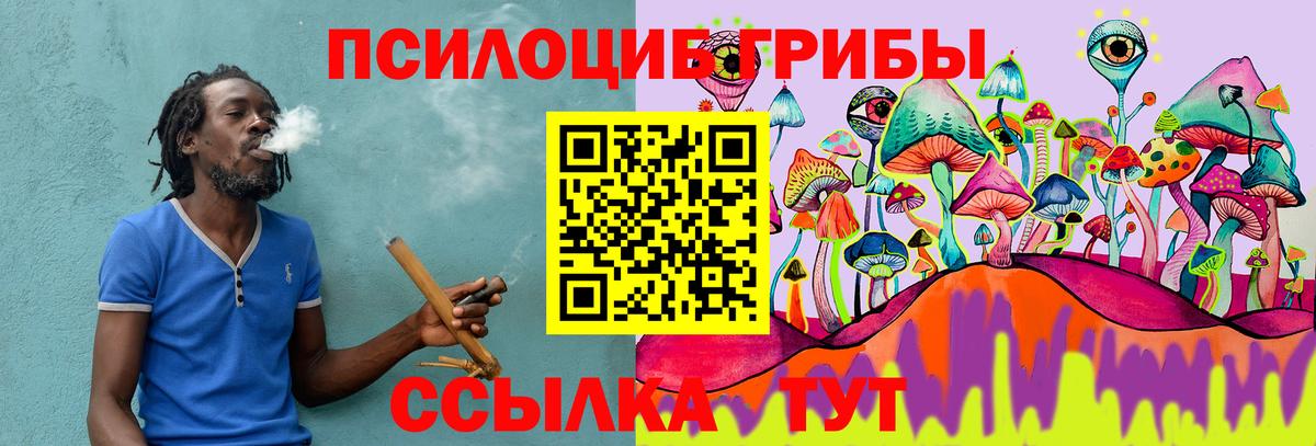 Галлюциногенные грибы Psilocybine cubensis Десногорск